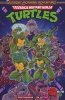 TEENAGE MUTANT NINJA TURTLES SATURDAY MORNING ADVENTURES VOL 01 TP [9781684059867]